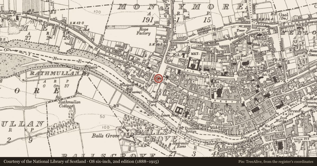 Ordnance Survey six-inch map, 2nd edition (1888–1915) covering the location of Religious house - Fratres Cruciferi, Moneymore, County Louth, with a pin at the register's coordinates