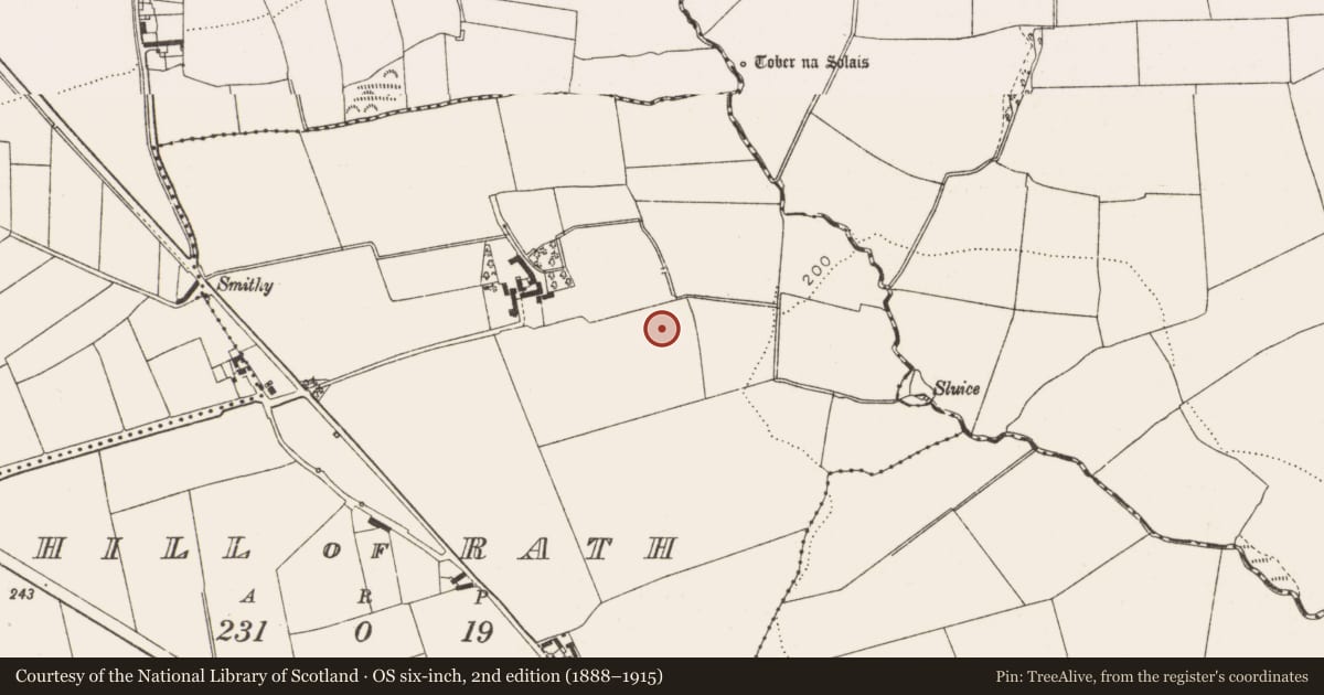 Ordnance Survey six-inch map, 2nd edition (1888–1915) covering the location of Pit-burial, Hill of Rath, County Louth, with a pin at the register's coordinates