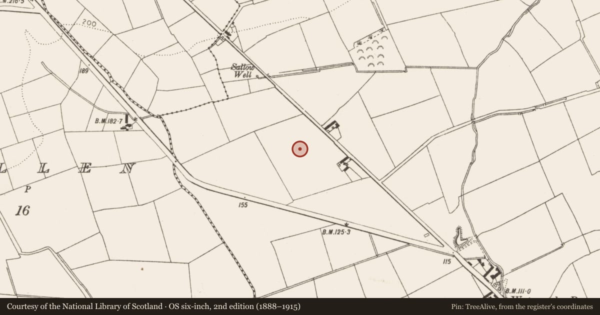 Ordnance Survey six-inch map, 2nd edition (1888–1915) covering the location of Excavation - miscellaneous, Mell, County Louth, with a pin at the register's coordinates