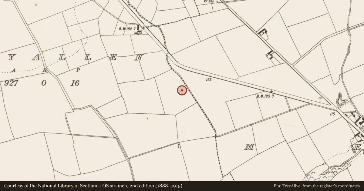 Ordnance Survey six-inch map, 2nd edition (1888–1915) covering the location of Enclosure, Tullyallen, County Louth, with a pin at the register's coordinates