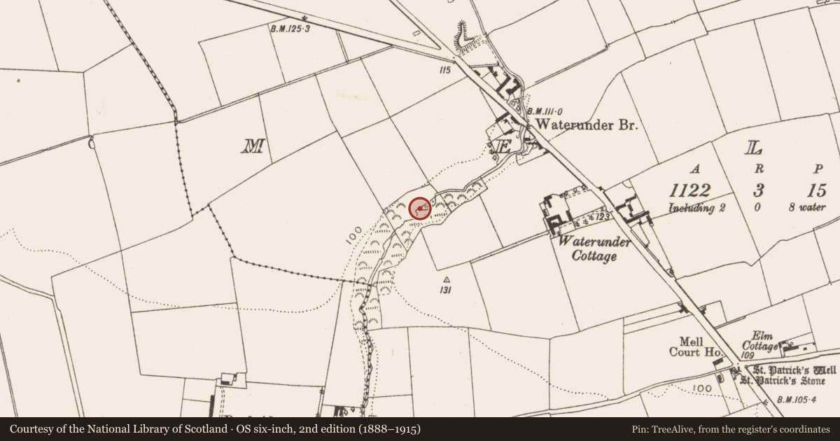 Ordnance Survey six-inch map, 2nd edition (1888–1915) covering the location of Fulacht fia, Mell, County Louth, with a pin at the register's coordinates
