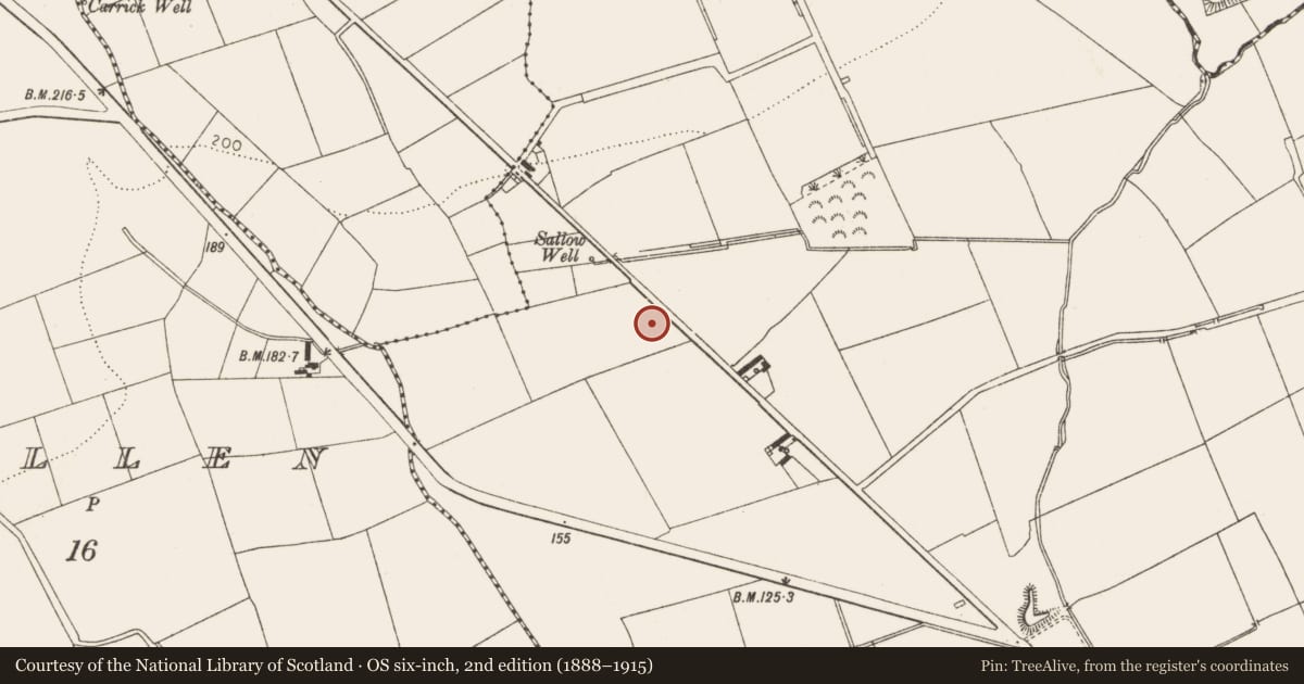 Ordnance Survey six-inch map, 2nd edition (1888–1915) covering the location of Excavation - miscellaneous, Mell, County Louth, with a pin at the register's coordinates