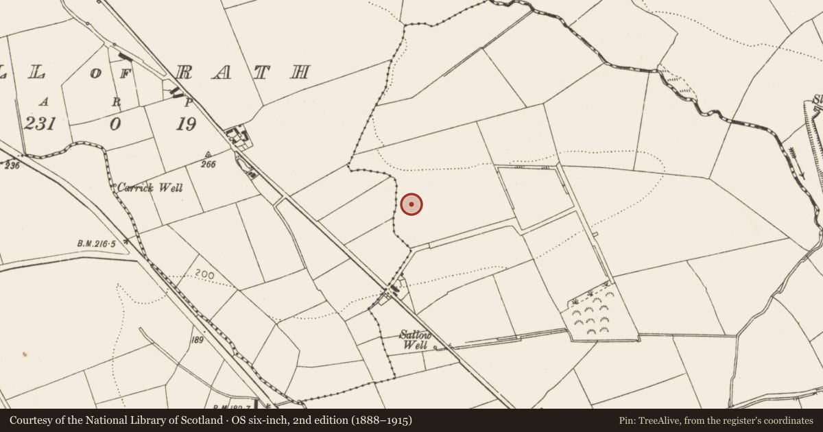 Ordnance Survey six-inch map, 2nd edition (1888–1915) covering the location of Habitation site, Hill of Rath, County Louth, with a pin at the register's coordinates