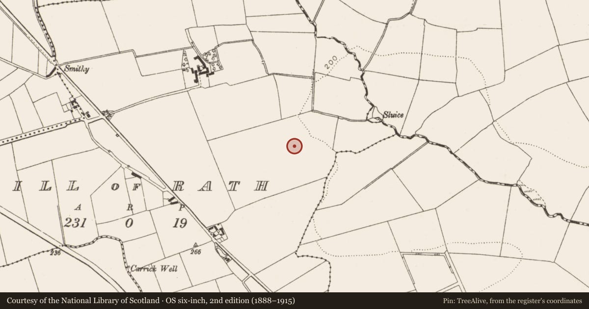 Ordnance Survey six-inch map, 2nd edition (1888–1915) covering the location of Metalworking site, Hill of Rath, County Louth, with a pin at the register's coordinates