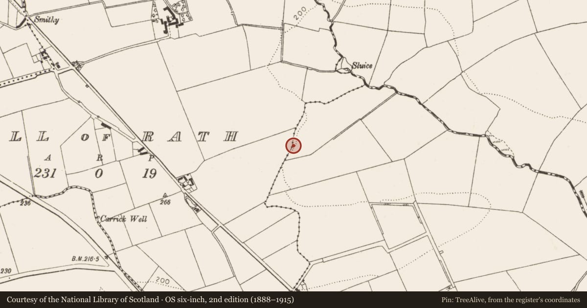 Ordnance Survey six-inch map, 2nd edition (1888–1915) covering the location of Fulacht fia, Hill of Rath, County Louth, with a pin at the register's coordinates
