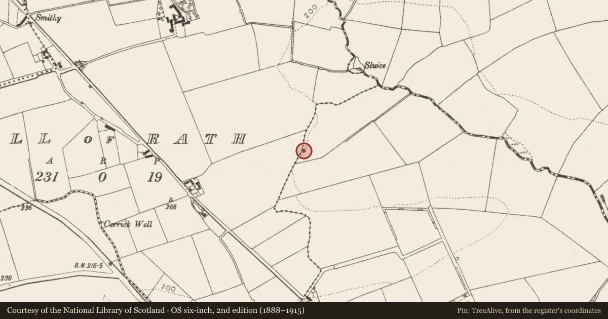 Ordnance Survey six-inch map, 2nd edition (1888–1915) covering the location of Habitation site, Hill of Rath, County Louth, with a pin at the register's coordinates
