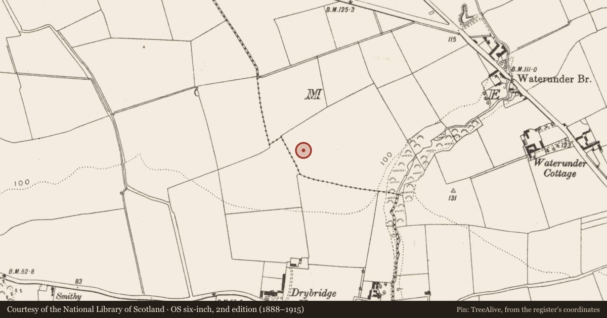 Ordnance Survey six-inch map, 2nd edition (1888–1915) covering the location of Barrow - ditch barrow, Mell, County Louth, with a pin at the register's coordinates