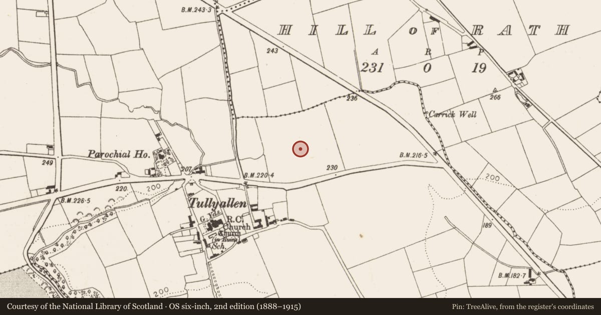 Ordnance Survey six-inch map, 2nd edition (1888–1915) covering the location of Excavation - miscellaneous, Tullyallen, County Louth, with a pin at the register's coordinates