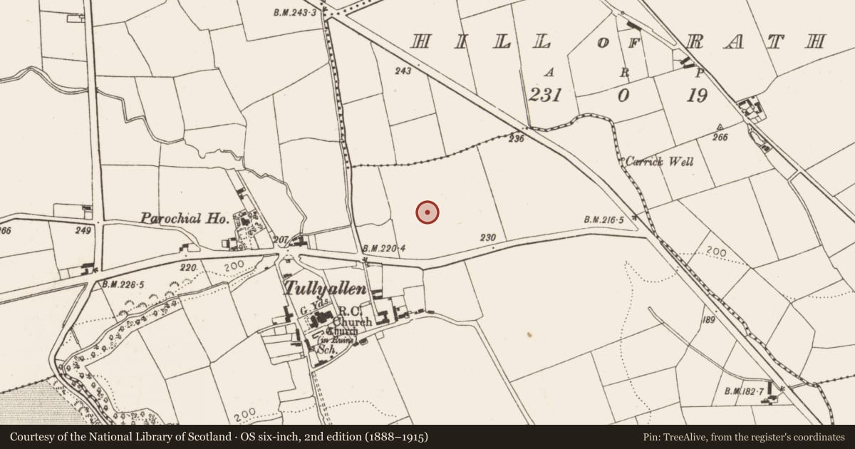 Ordnance Survey six-inch map, 2nd edition (1888–1915) covering the location of Cremated remains, Tullyallen, County Louth, with a pin at the register's coordinates