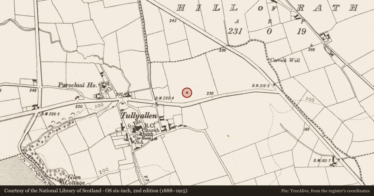 Ordnance Survey six-inch map, 2nd edition (1888–1915) covering the location of Cremated remains, Tullyallen, County Louth, with a pin at the register's coordinates