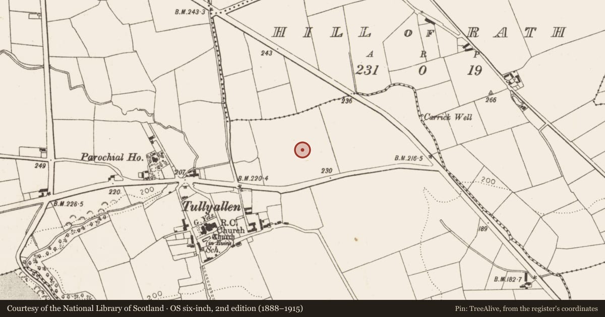 Ordnance Survey six-inch map, 2nd edition (1888–1915) covering the location of Kiln - corn-drying, Tullyallen, County Louth, with a pin at the register's coordinates