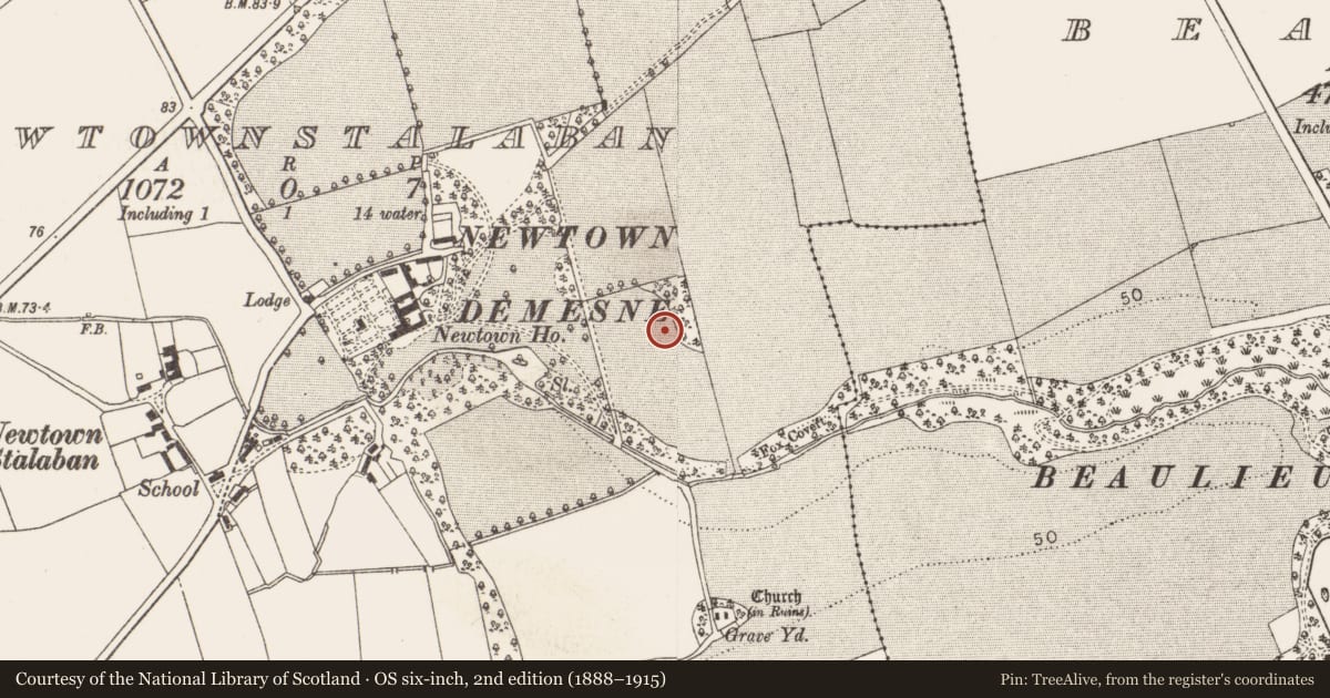Ordnance Survey six-inch map, 2nd edition (1888–1915) covering the location of Field system, Newtownstalaban (Ferrard by, County Louth, with a pin at the register's coordinates
