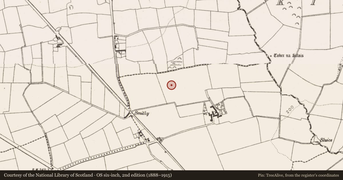 Ordnance Survey six-inch map, 2nd edition (1888–1915) covering the location of Ring-ditch, Hill of Rath, County Louth, with a pin at the register's coordinates