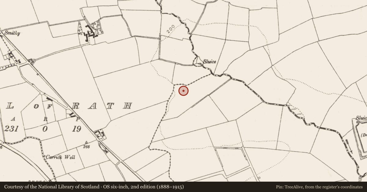 Ordnance Survey six-inch map, 2nd edition (1888–1915) covering the location of Ringfort - rath, Mell, County Louth, with a pin at the register's coordinates
