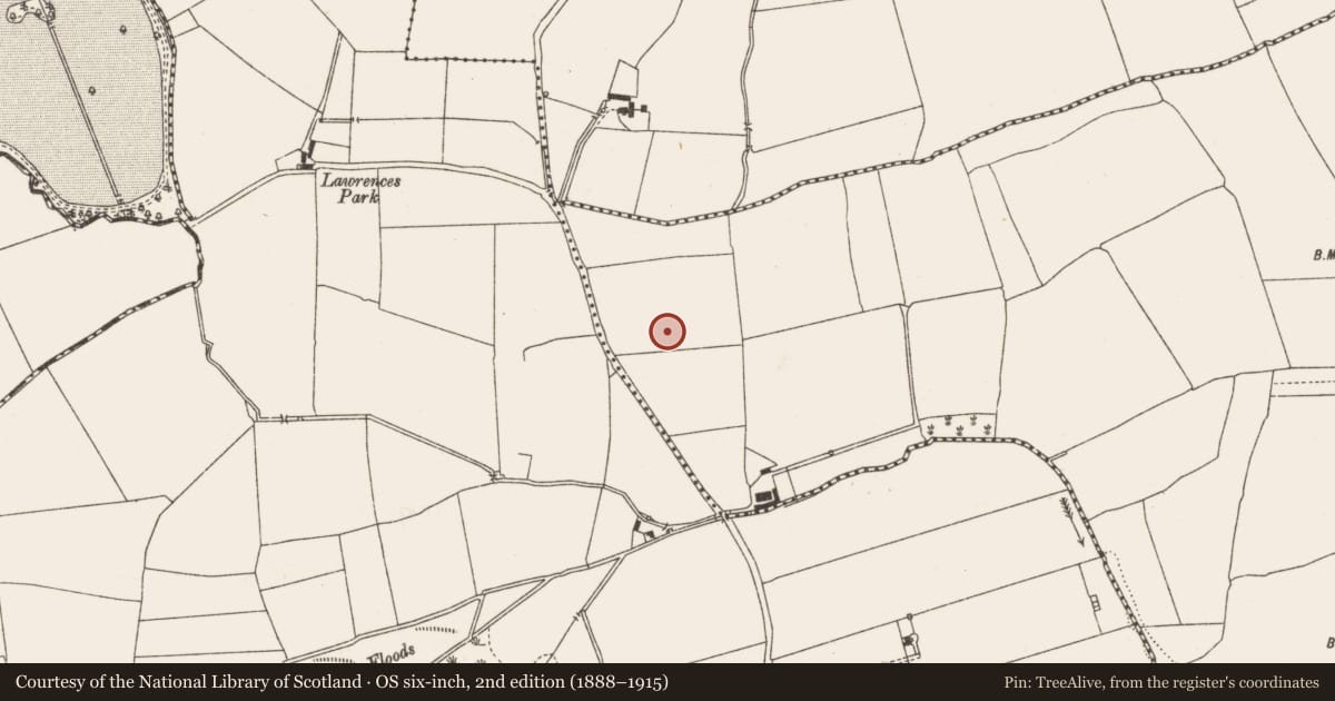 Ordnance Survey six-inch map, 2nd edition (1888–1915) covering the location of Concentric enclosure, Yellowbatter, County Louth, with a pin at the register's coordinates