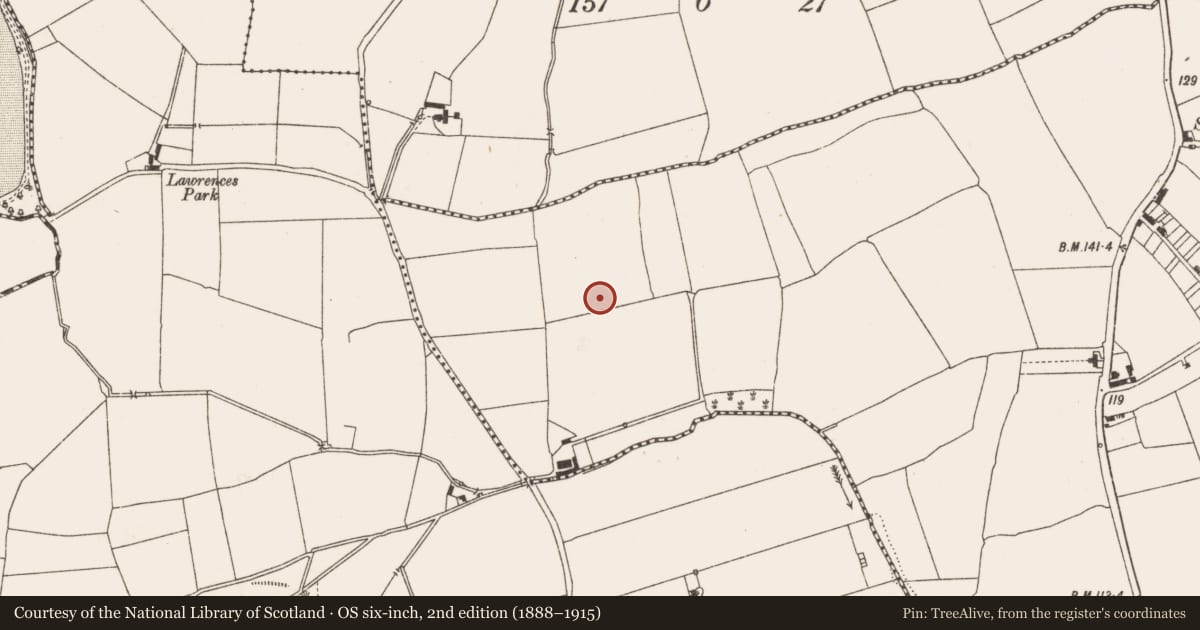 Ordnance Survey six-inch map, 2nd edition (1888–1915) covering the location of Enclosure, Yellowbatter, County Louth, with a pin at the register's coordinates