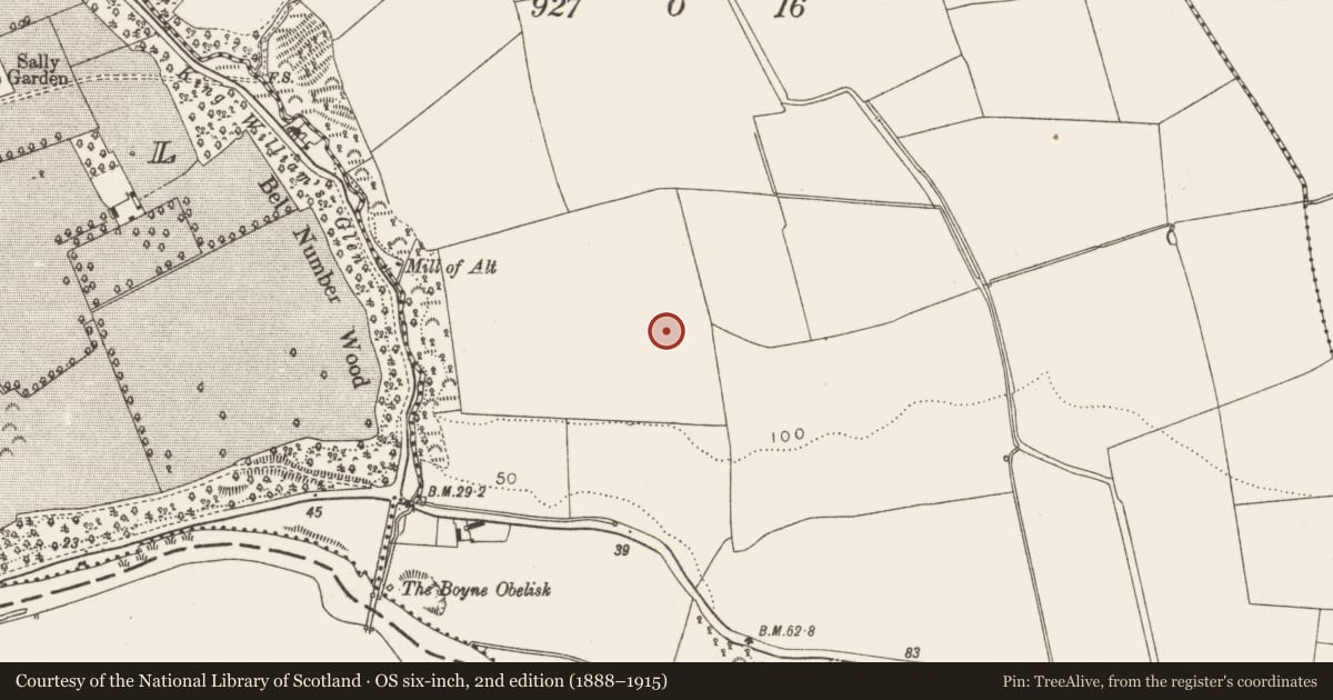 Ordnance Survey six-inch map, 2nd edition (1888–1915) covering the location of Ringfort - rath, Tullyallen, County Louth, with a pin at the register's coordinates