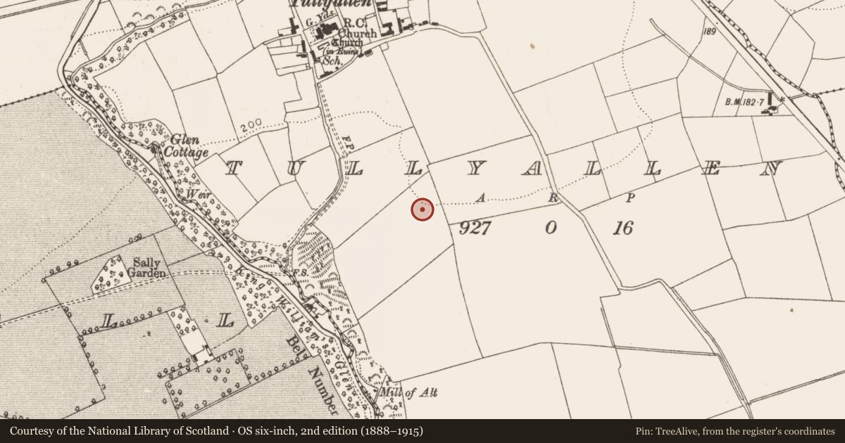 Ordnance Survey six-inch map, 2nd edition (1888–1915) covering the location of Enclosure, Tullyallen, County Louth, with a pin at the register's coordinates