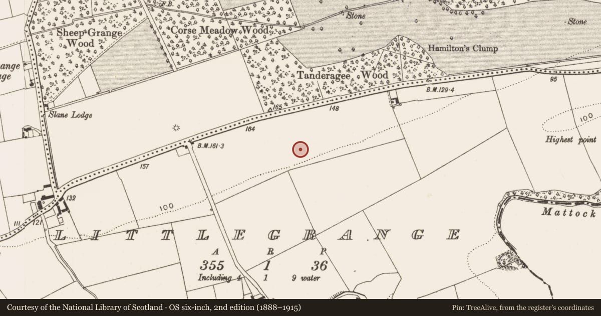 Ordnance Survey six-inch map, 2nd edition (1888–1915) covering the location of Ring-ditch, Littlegrange, County Louth, with a pin at the register's coordinates