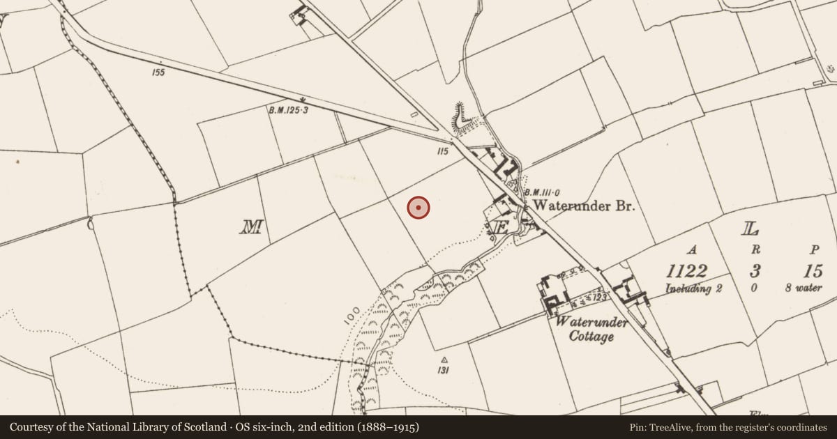 Ordnance Survey six-inch map, 2nd edition (1888–1915) covering the location of Ringfort - rath, Mell, County Louth, with a pin at the register's coordinates