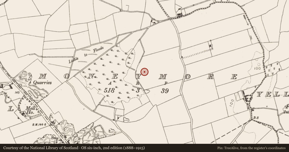 Ordnance Survey six-inch map, 2nd edition (1888–1915) covering the location of Enclosure, Moneymore, County Louth, with a pin at the register's coordinates