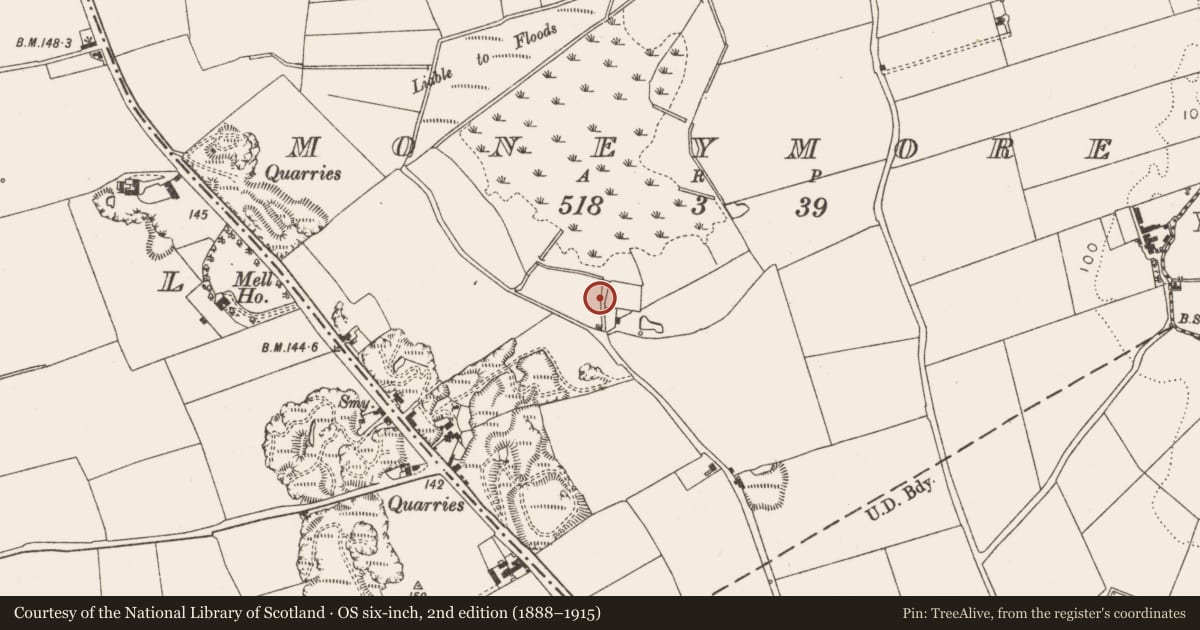 Ordnance Survey six-inch map, 2nd edition (1888–1915) covering the location of Ring-ditch, Moneymore, County Louth, with a pin at the register's coordinates