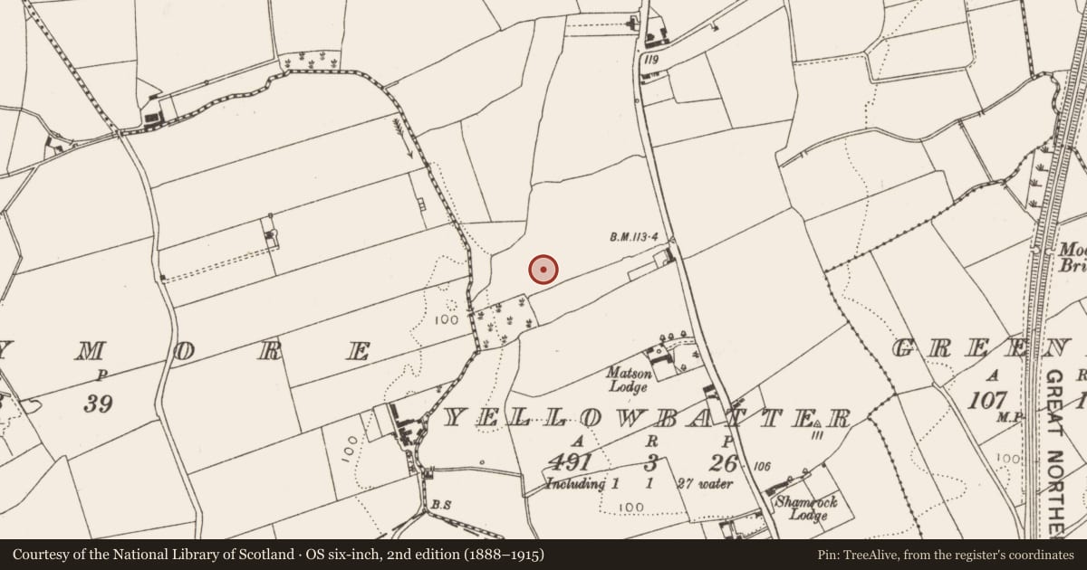 Ordnance Survey six-inch map, 2nd edition (1888–1915) covering the location of Ringfort - rath, Yellowbatter, County Louth, with a pin at the register's coordinates