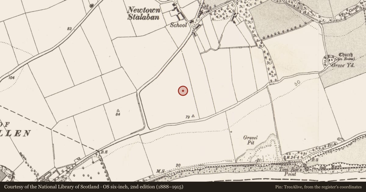 Ordnance Survey six-inch map, 2nd edition (1888–1915) covering the location of Field system, Newtownstaballen (Ferrard by, County Louth, with a pin at the register's coordinates