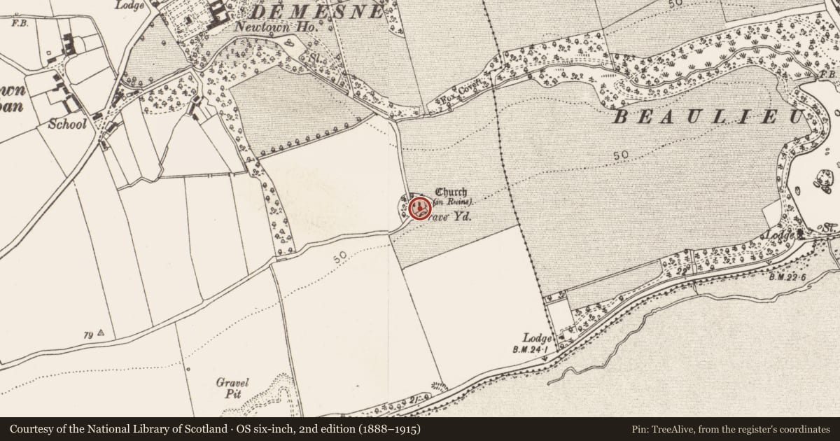 Ordnance Survey six-inch map, 2nd edition (1888–1915) covering the location of Graveyard, Newtownstalaban (Ferrard by, County Louth, with a pin at the register's coordinates