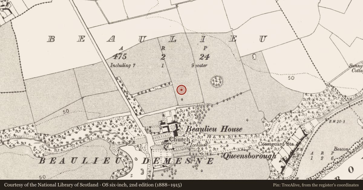 Ordnance Survey six-inch map, 2nd edition (1888–1915) covering the location of Church, Beaulieu, County Louth, with a pin at the register's coordinates