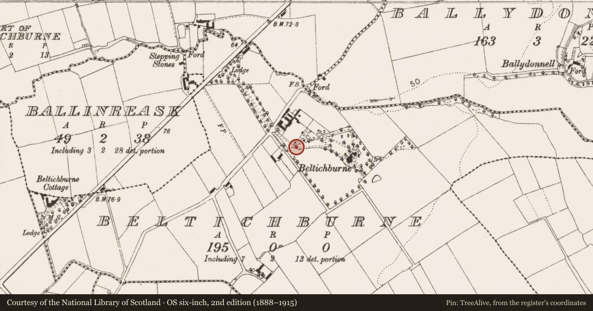 Ordnance Survey six-inch map, 2nd edition (1888–1915) covering the location of Stone head, Beltichburne, County Louth, with a pin at the register's coordinates