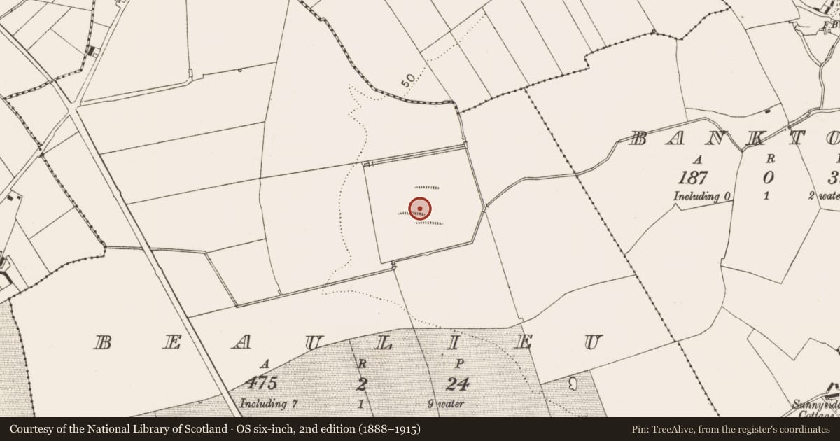 Ordnance Survey six-inch map, 2nd edition (1888–1915) covering the location of Decoy pond, Beaulieu, County Louth, with a pin at the register's coordinates