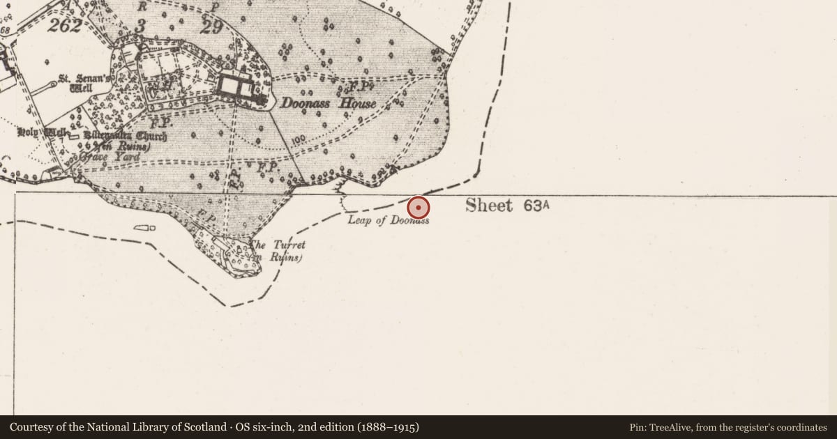 Ordnance Survey six-inch map, 2nd edition (1888–1915) covering the location of Ford, Hermitage, County Limerick, with a pin at the register's coordinates