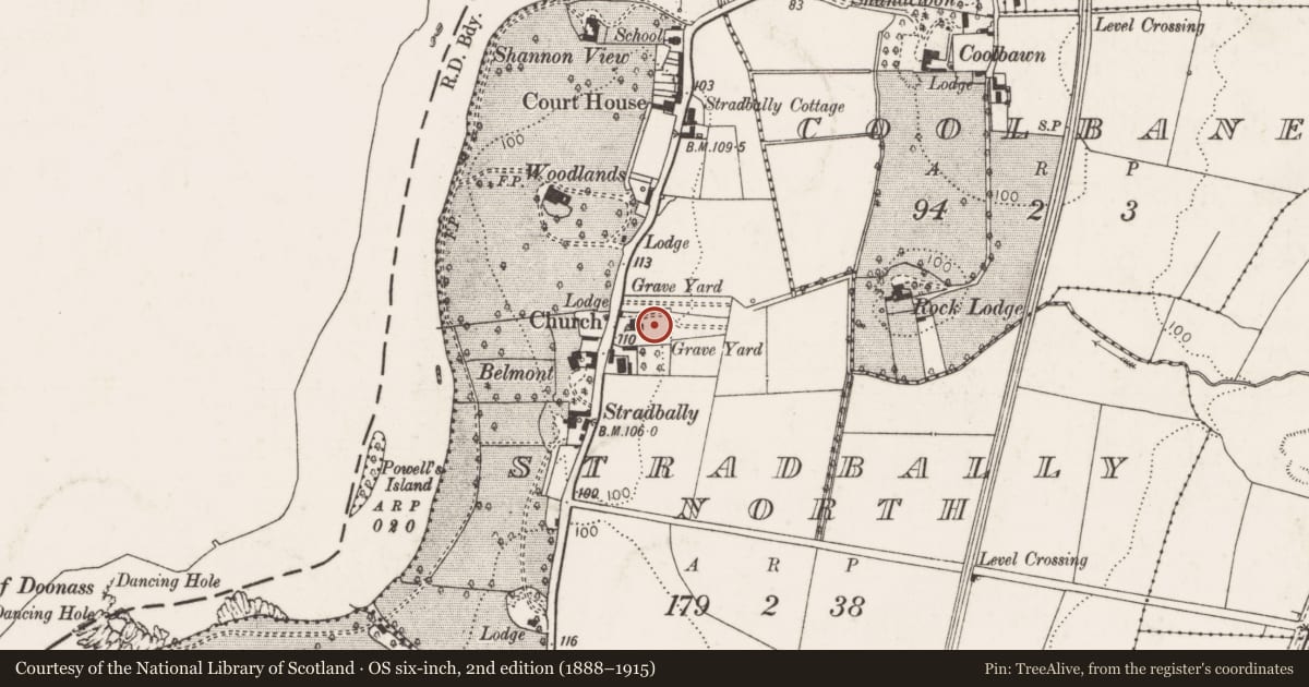 Ordnance Survey six-inch map, 2nd edition (1888–1915) covering the location of Graveyard, Stradbally North, County Limerick, with a pin at the register's coordinates