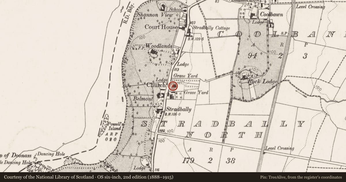 Ordnance Survey six-inch map, 2nd edition (1888–1915) covering the location of Architectural feature, Stradbally North, County Limerick, with a pin at the register's coordinates