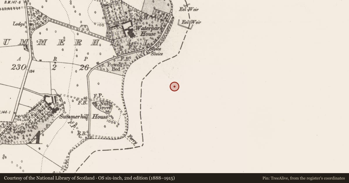 Ordnance Survey six-inch map, 2nd edition (1888–1915) covering the location of Church, Cloon And Commons, County Limerick, with a pin at the register's coordinates