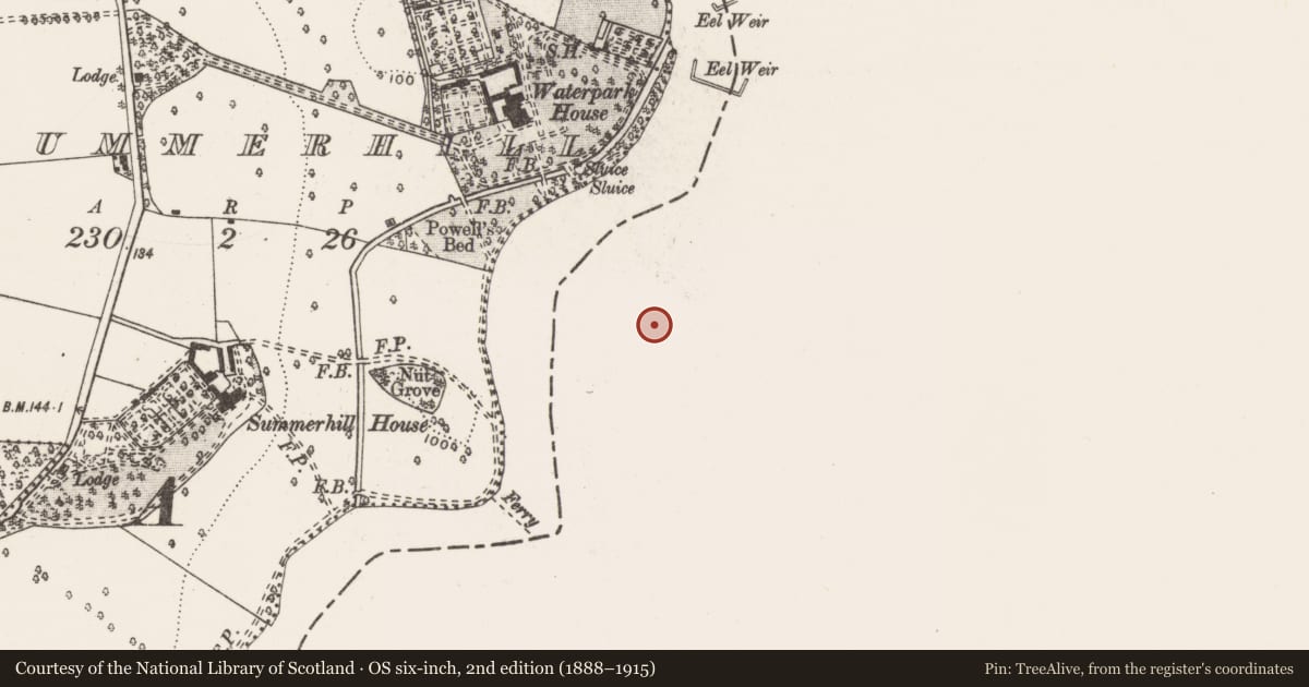 Ordnance Survey six-inch map, 2nd edition (1888–1915) covering the location of Ritual site - holy well, Cloon And Commons, County Limerick, with a pin at the register's coordinates