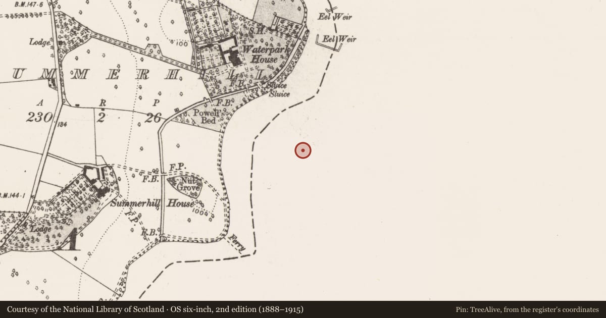 Ordnance Survey six-inch map, 2nd edition (1888–1915) covering the location of Cross, Cloon And Commons, County Limerick, with a pin at the register's coordinates