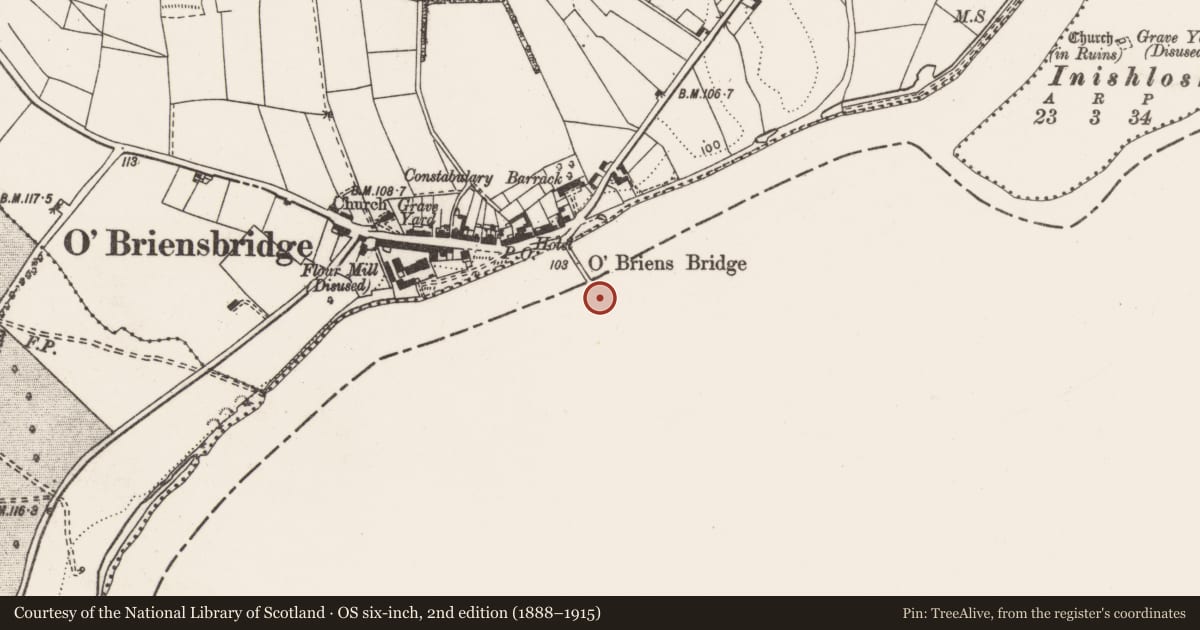Ordnance Survey six-inch map, 2nd edition (1888–1915) covering the location of Bridge, Montpelier, County Limerick, with a pin at the register's coordinates