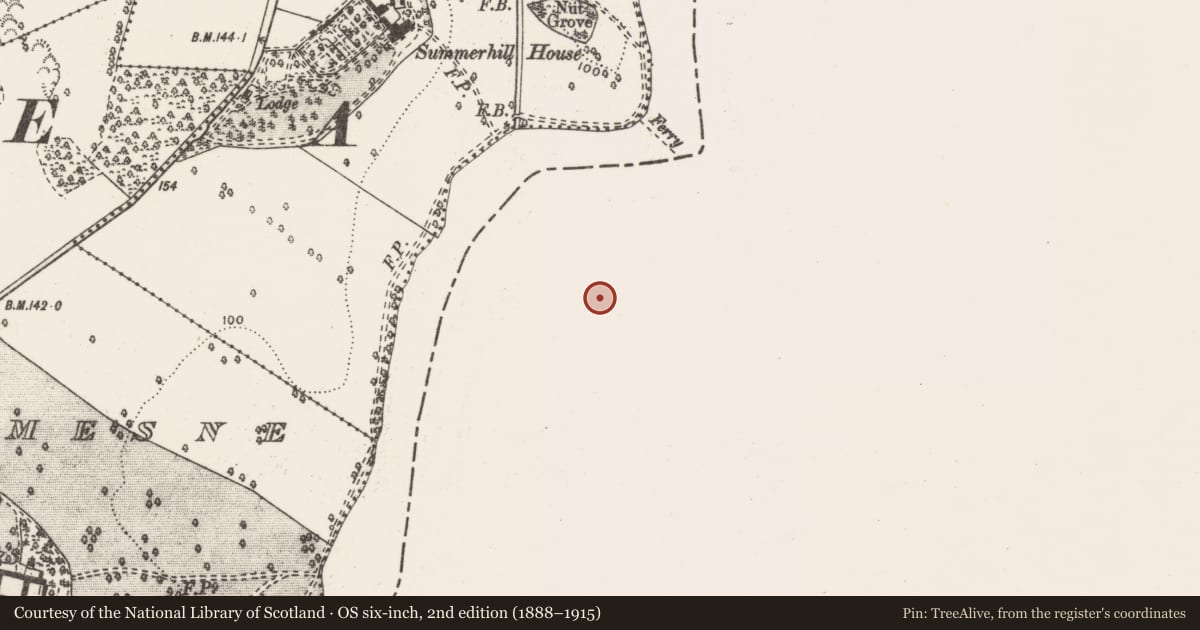Ordnance Survey six-inch map, 2nd edition (1888–1915) covering the location of Souterrain, Stradbally North, County Limerick, with a pin at the register's coordinates