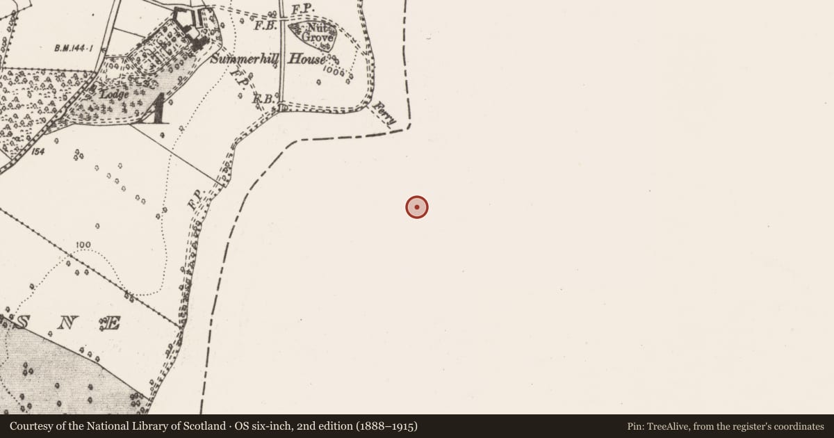 Ordnance Survey six-inch map, 2nd edition (1888–1915) covering the location of Burial ground, Stradbally North, County Limerick, with a pin at the register's coordinates