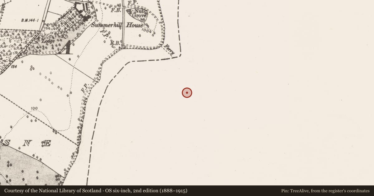 Ordnance Survey six-inch map, 2nd edition (1888–1915) covering the location of Metalworking site, Stradbally North, County Limerick, with a pin at the register's coordinates