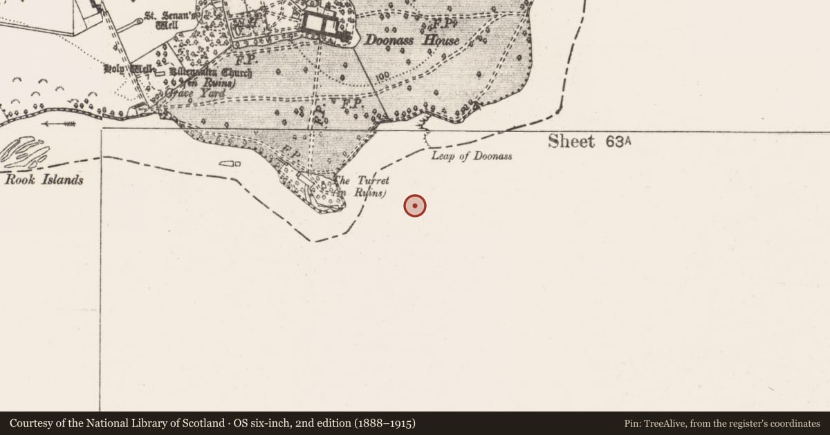 Ordnance Survey six-inch map, 2nd edition (1888–1915) covering the location of Cremation pit, Hermitage, County Limerick, with a pin at the register's coordinates