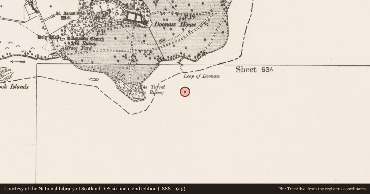 Ordnance Survey six-inch map, 2nd edition (1888–1915) covering the location of Hut site, Hermitage, County Limerick, with a pin at the register's coordinates