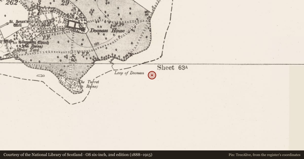 Ordnance Survey six-inch map, 2nd edition (1888–1915) covering the location of Furnace, Hermitage, County Limerick, with a pin at the register's coordinates