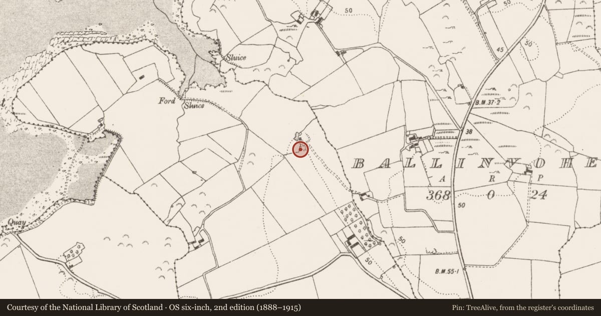 Ordnance Survey six-inch map, 2nd edition (1888–1915) covering the location of Kiln - lime, Ballycanauna, County Limerick, with a pin at the register's coordinates