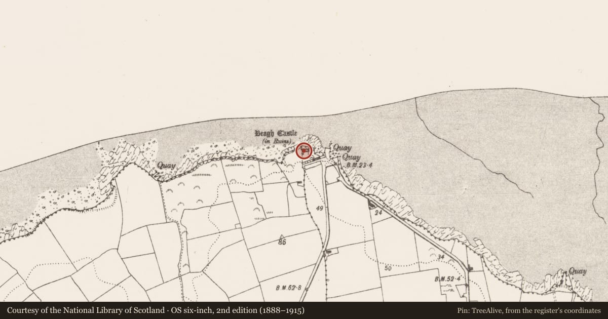 Ordnance Survey six-inch map, 2nd edition (1888–1915) covering the location of Castle - tower house, Beagh, County Limerick, with a pin at the register's coordinates