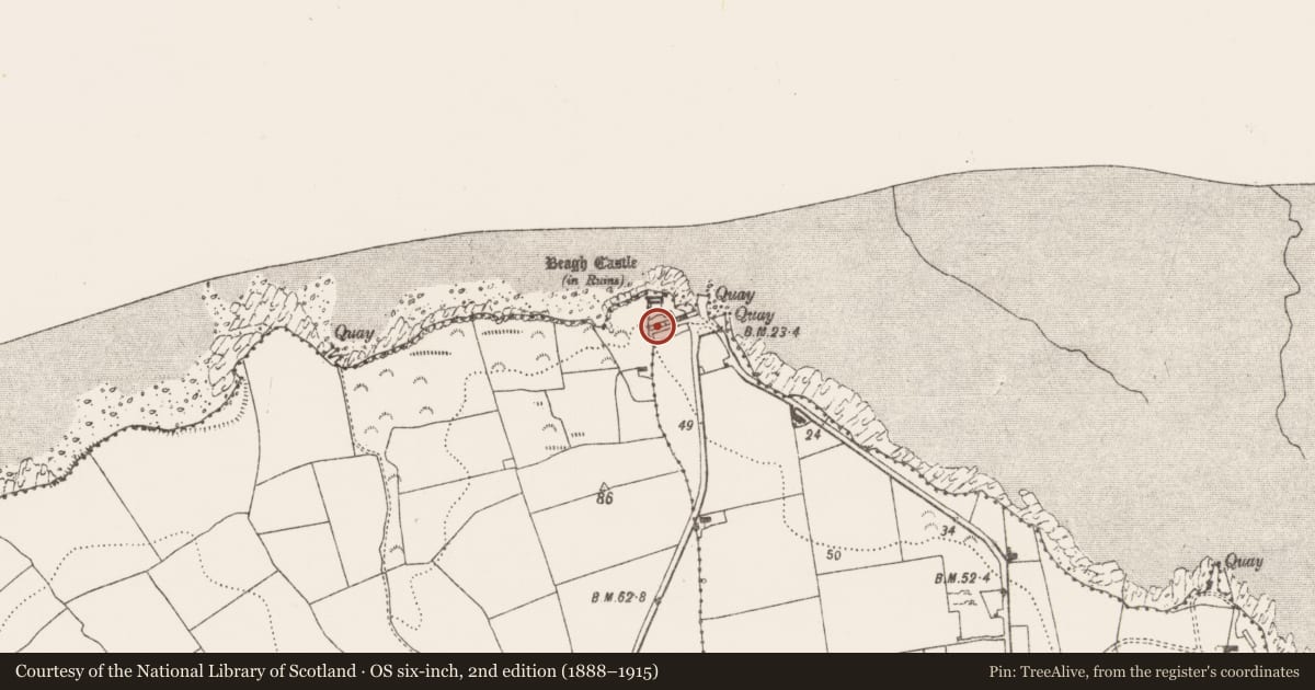 Ordnance Survey six-inch map, 2nd edition (1888–1915) covering the location of House - 17th century, Beagh, County Limerick, with a pin at the register's coordinates