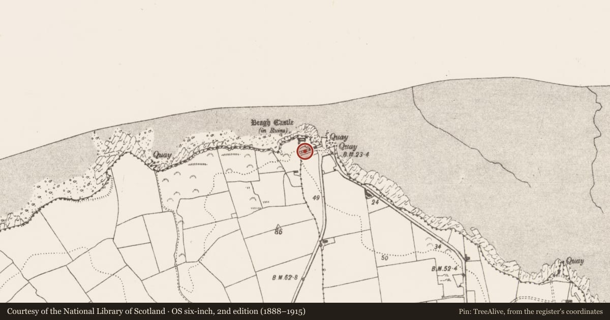 Ordnance Survey six-inch map, 2nd edition (1888–1915) covering the location of House - 18th/19th century, Beagh, County Limerick, with a pin at the register's coordinates