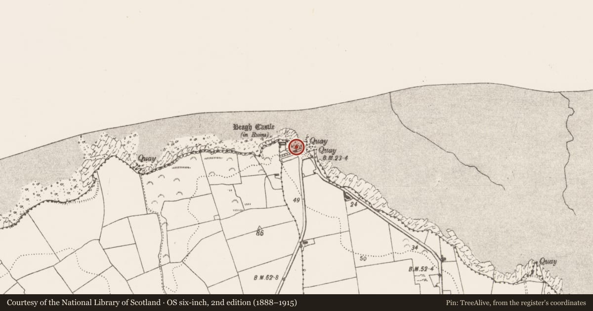 Ordnance Survey six-inch map, 2nd edition (1888–1915) covering the location of Pier/Jetty, Beagh, County Limerick, with a pin at the register's coordinates